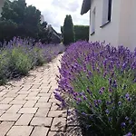 Sonnenblick Und Relax Διαμέρισμα *