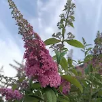 Sonnenblick Und Relax 순데름
