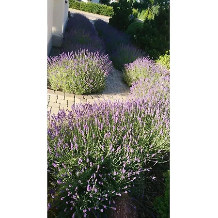 Sonnenblick Und Relax Sundern