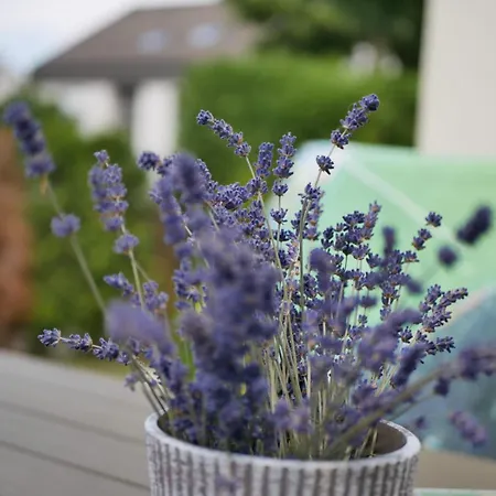 Sonnenblick Und Relax Apartment *