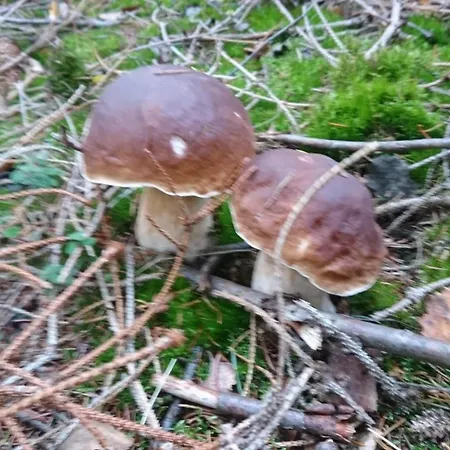 Sonnenblick Und Relax * 孙登