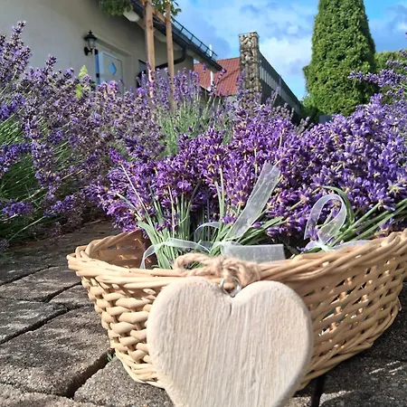 Sonnenblick Und Relax Апартаменты *