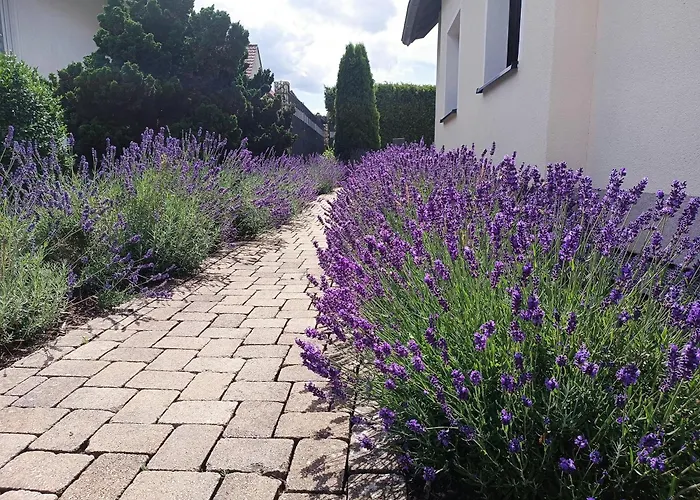 Sonnenblick Und Relax Sundern