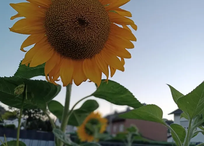Sonnenblick Und Relax Daire *