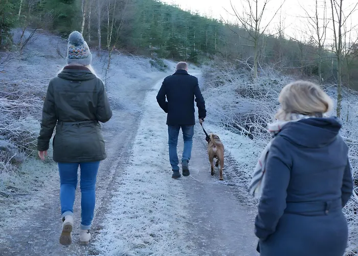 Daire Sonnenblick Und Relax