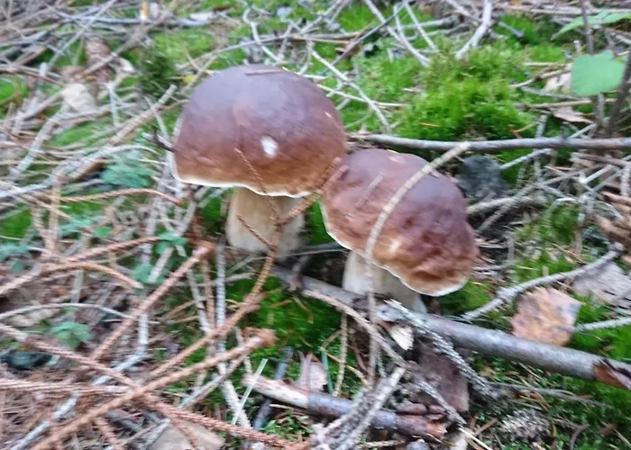 Sonnenblick Und Relax * Sundern