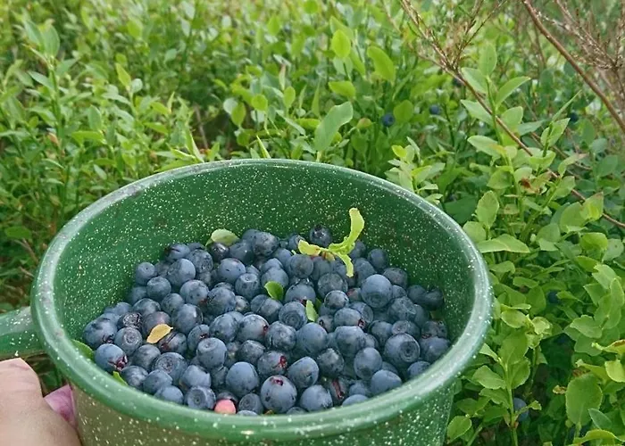 Daire Sonnenblick Und Relax